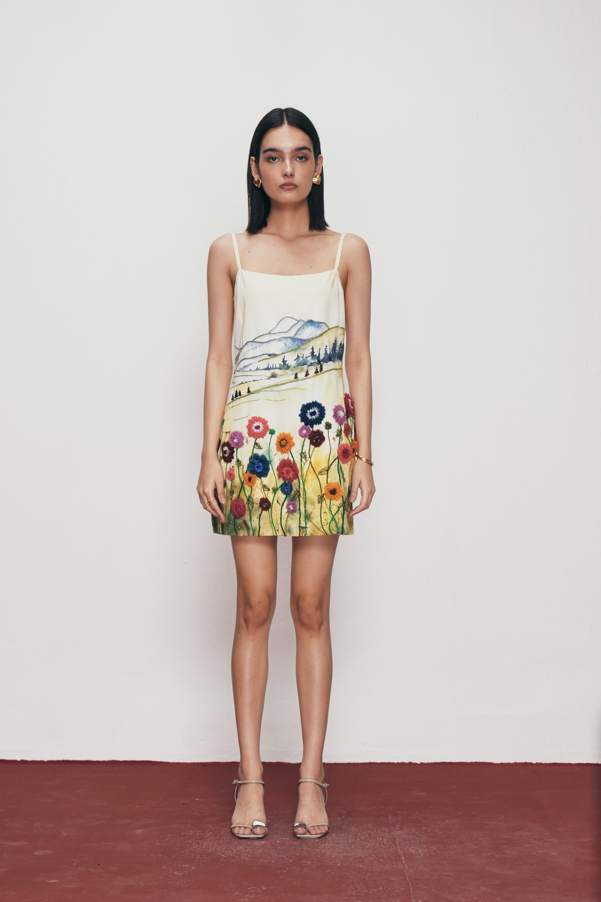 Countryside hand embroidered dress